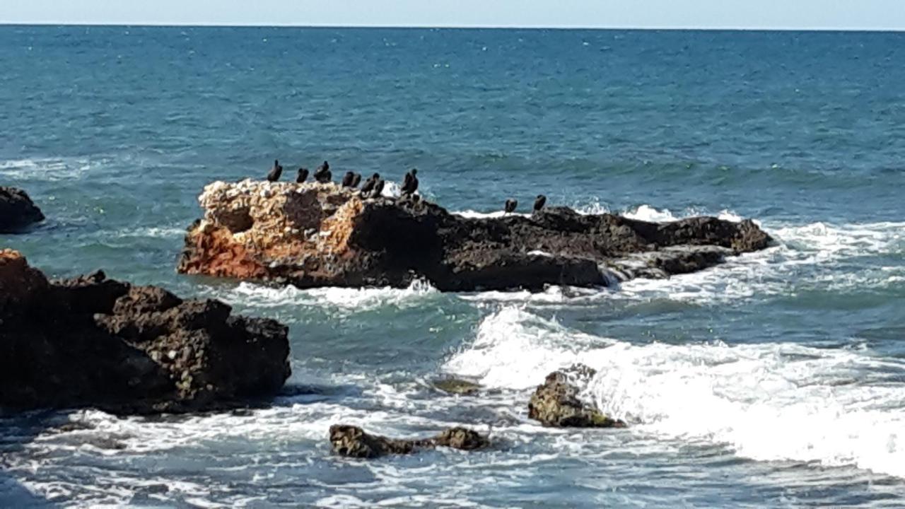 Precioso Apart Sur Y Norte Cerca Playa Y Centro - Cascadas De La Marina Денія Екстер'єр фото