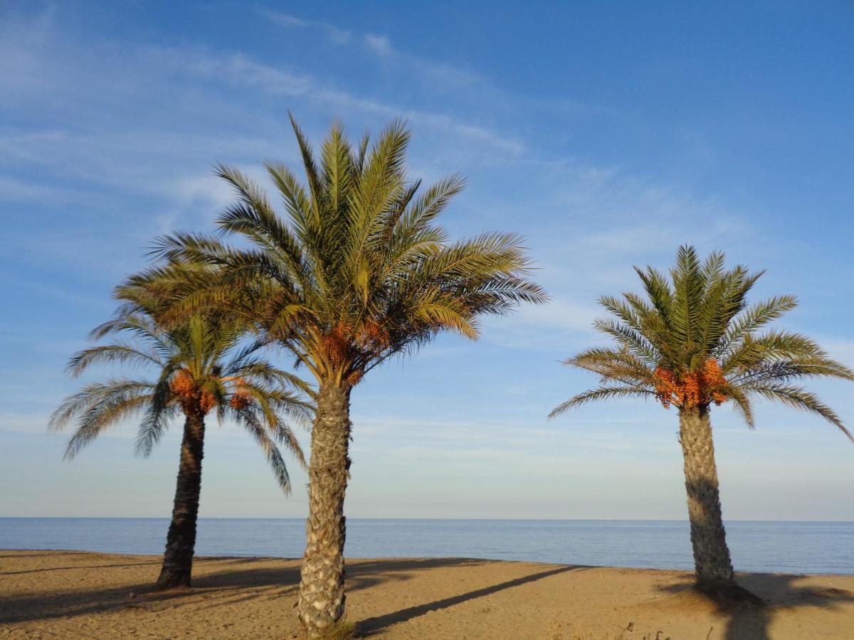 Precioso Apart Sur Y Norte Cerca Playa Y Centro - Cascadas De La Marina Денія Екстер'єр фото